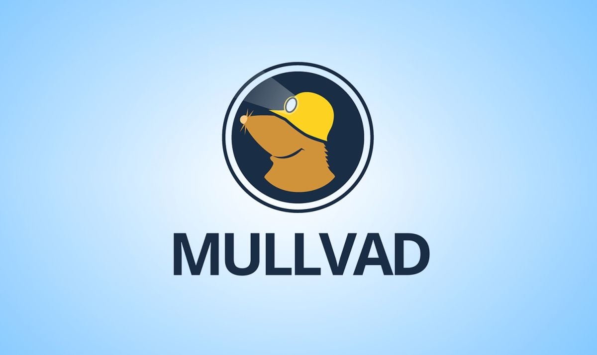 Mullvad VPN background